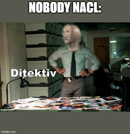Stonks Ditektiv | NOBODY NACL: | image tagged in stonks ditektiv | made w/ Imgflip meme maker