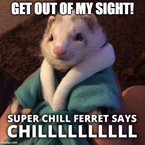 get out of my sight! | GET OUT OF MY SIGHT! | image tagged in kenneth says chilllllll | made w/ Imgflip meme maker