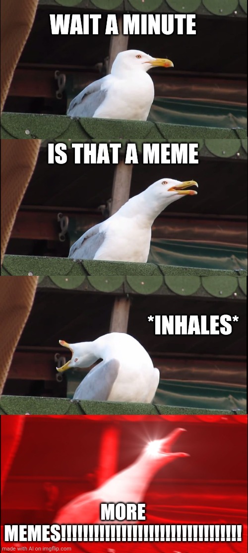 More Memes! | WAIT A MINUTE; IS THAT A MEME; *INHALES*; MORE MEMES!!!!!!!!!!!!!!!!!!!!!!!!!!!!!!!!! | image tagged in memes,inhaling seagull | made w/ Imgflip meme maker