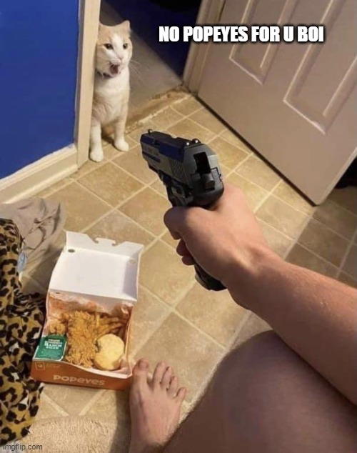 poopieyes | NO POPEYES FOR U BOI | image tagged in cats | made w/ Imgflip meme maker