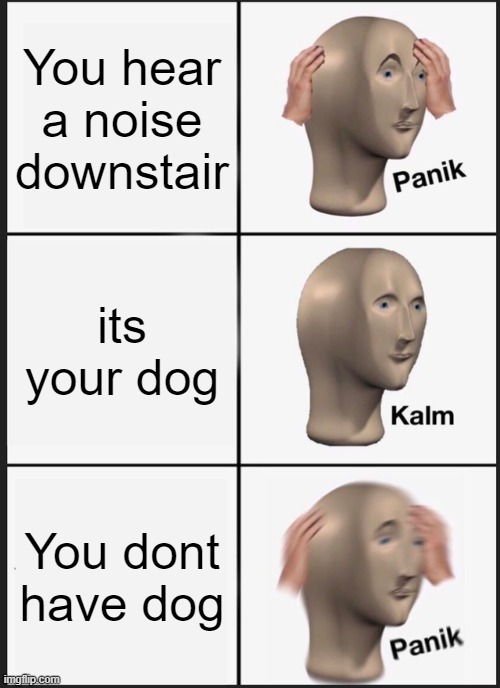 L0L | You hear a noise downstair; its your dog; You dont have dog | image tagged in memes,panik kalm panik | made w/ Imgflip meme maker