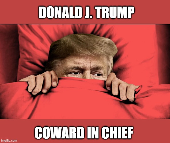 Putin Hacks the US | DONALD J. TRUMP; COWARD IN CHIEF | image tagged in vladimir putin,donald trump,coward,trump is a moron | made w/ Imgflip meme maker