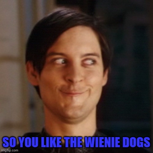 SO YOU LIKE THE WIENIE DOGS | made w/ Imgflip meme maker