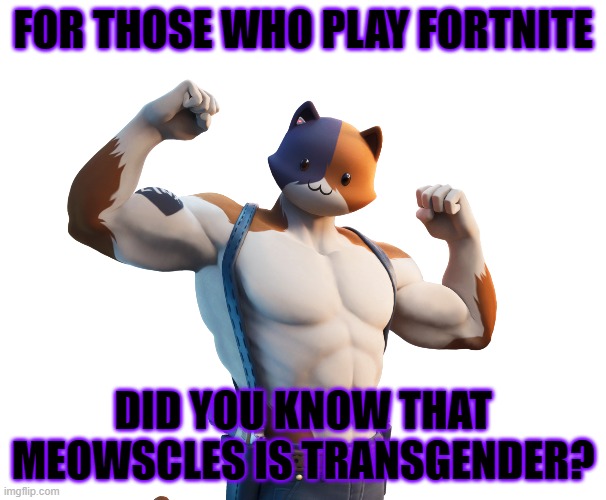 I think I just found my new favorite skin OwO | FOR THOSE WHO PLAY FORTNITE; DID YOU KNOW THAT MEOWSCLES IS TRANSGENDER? | image tagged in fortnite,gaming,lgbt,transgender | made w/ Imgflip meme maker