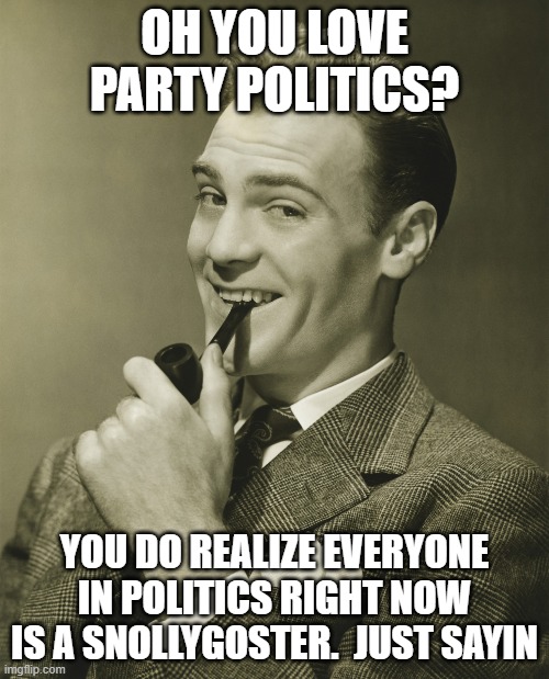 Smug | OH YOU LOVE PARTY POLITICS? YOU DO REALIZE EVERYONE IN POLITICS RIGHT NOW IS A SNOLLYGOSTER.  JUST SAYIN | image tagged in smug | made w/ Imgflip meme maker