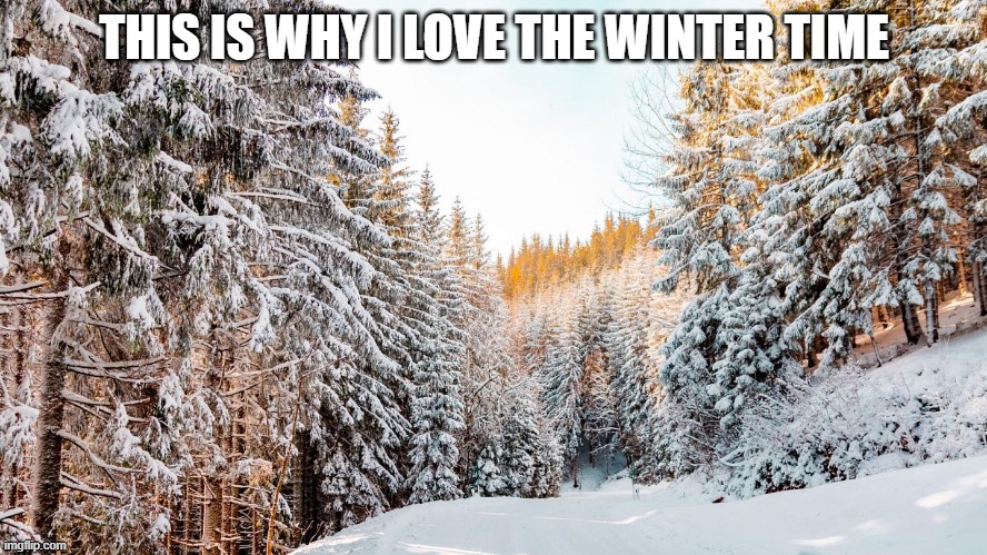 s n o w | THIS IS WHY I LOVE THE WINTER TIME | made w/ Imgflip meme maker