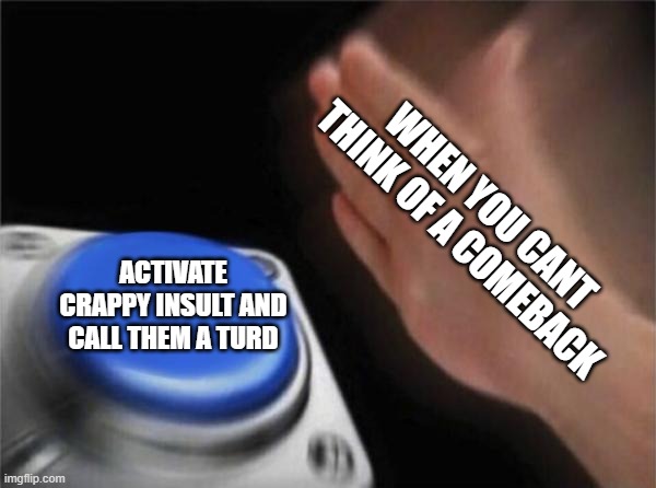 Blank Nut Button |  WHEN YOU CANT THINK OF A COMEBACK; ACTIVATE CRAPPY INSULT AND CALL THEM A TURD | image tagged in memes,blank nut button | made w/ Imgflip meme maker