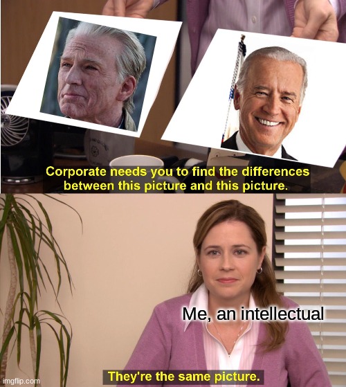 They're The Same Picture | Me, an intellectual | image tagged in memes,they're the same picture | made w/ Imgflip meme maker