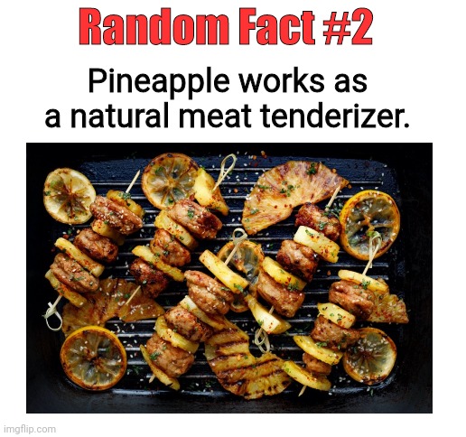 Random Fact #2 | Random Fact #2; Pineapple works as a natural meat tenderizer. | image tagged in blank white template | made w/ Imgflip meme maker