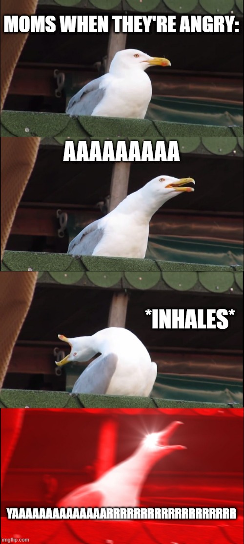 Inhaling Seagull Meme | MOMS WHEN THEY'RE ANGRY:; AAAAAAAAA; *INHALES*; YAAAAAAAAAAAAAARRRRRRRRRRRRRRRRRRR | image tagged in memes,inhaling seagull | made w/ Imgflip meme maker