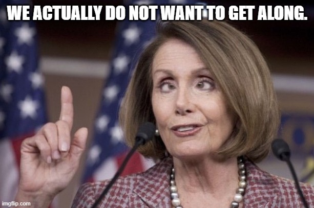 Nancy pelosi | WE ACTUALLY DO NOT WANT TO GET ALONG. | image tagged in nancy pelosi | made w/ Imgflip meme maker