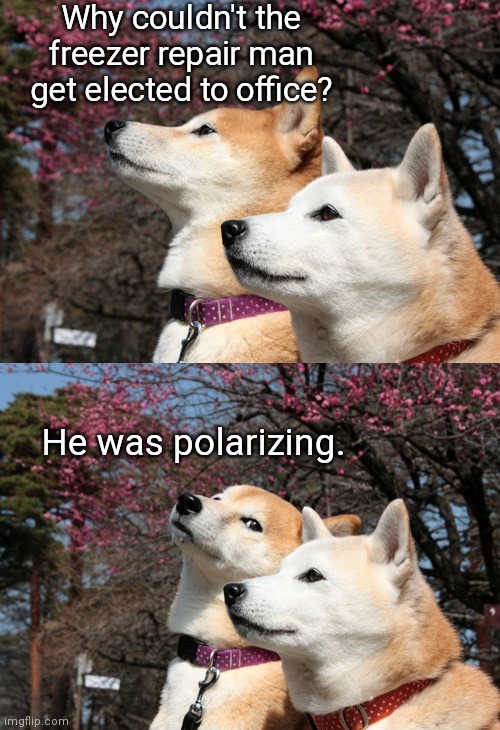 He couldn't get elected to office | Why couldn't the freezer repair man get elected to office? He was polarizing. | image tagged in bad pun dogs,political humor,jokes | made w/ Imgflip meme maker
