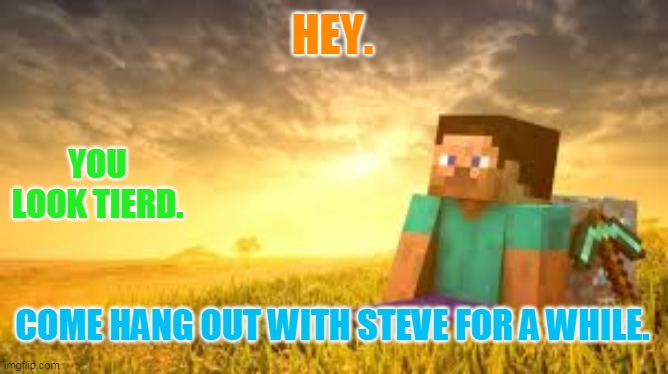 Hang out with steve. | HEY. YOU LOOK TIERD. COME HANG OUT WITH STEVE FOR A WHILE. | image tagged in minecraft,memes | made w/ Imgflip meme maker