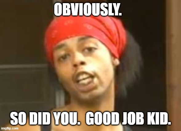 Antoine dodson well obviously | OBVIOUSLY. SO DID YOU.  GOOD JOB KID. | image tagged in antoine dodson well obviously | made w/ Imgflip meme maker