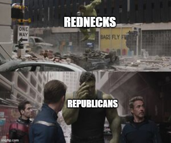 Regretful Hulk | REDNECKS; REPUBLICANS | image tagged in regretful hulk,memes,politics,american politics,avengers endgame | made w/ Imgflip meme maker