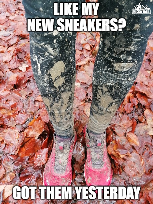 New Trail Shoes | LIKE MY NEW SNEAKERS? GOT THEM YESTERDAY | image tagged in running,trail,trailrunning,newshoes,trainers,clean | made w/ Imgflip meme maker