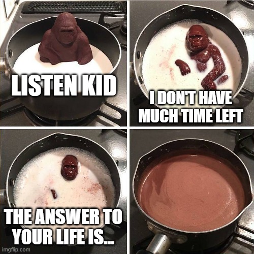 The Answer to Your Life | LISTEN KID; I DON'T HAVE MUCH TIME LEFT; THE ANSWER TO YOUR LIFE IS... | image tagged in chocolate gorilla | made w/ Imgflip meme maker