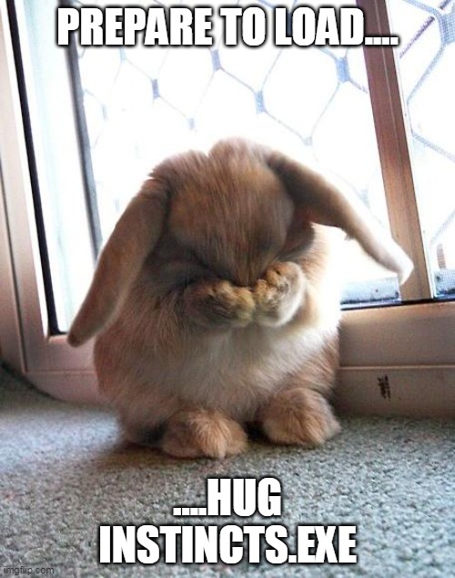 Bunny Hug Instincts | PREPARE TO LOAD.... ....HUG INSTINCTS.EXE | image tagged in embarrassed bunny | made w/ Imgflip meme maker