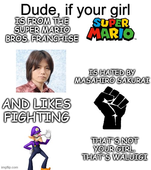 Waluigi in smash | IS FROM THE SUPER MARIO BROS. FRANCHISE; IS HATED BY MASAHIRO SAKURAI; AND LIKES FIGHTING; THAT'S NOT YOUR GIRL. THAT'S WALUIGI | image tagged in dude if your girl | made w/ Imgflip meme maker