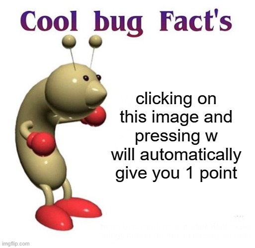 Cool Bug Facts | clicking on this image and pressing w will automatically give you 1 point | image tagged in cool bug facts | made w/ Imgflip meme maker