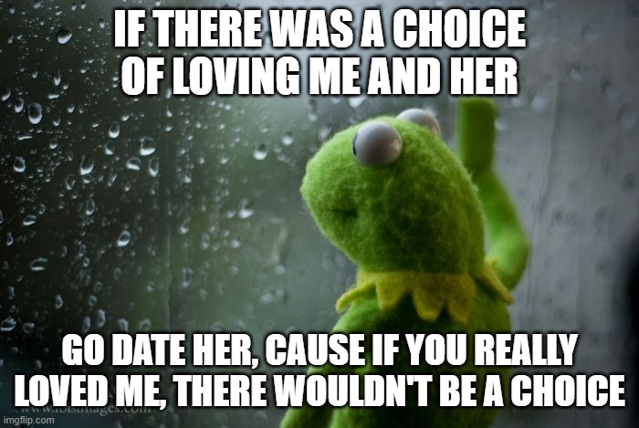 its the truth | IF THERE WAS A CHOICE OF LOVING ME AND HER; GO DATE HER, CAUSE IF YOU REALLY LOVED ME, THERE WOULDN'T BE A CHOICE | image tagged in kermit window | made w/ Imgflip meme maker