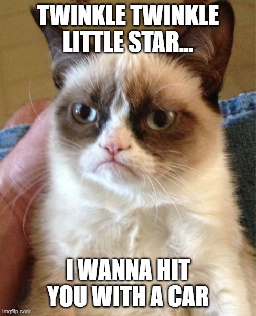 Grumpy Cat | TWINKLE TWINKLE
LITTLE STAR... I WANNA HIT YOU WITH A CAR | image tagged in memes,grumpy cat | made w/ Imgflip meme maker