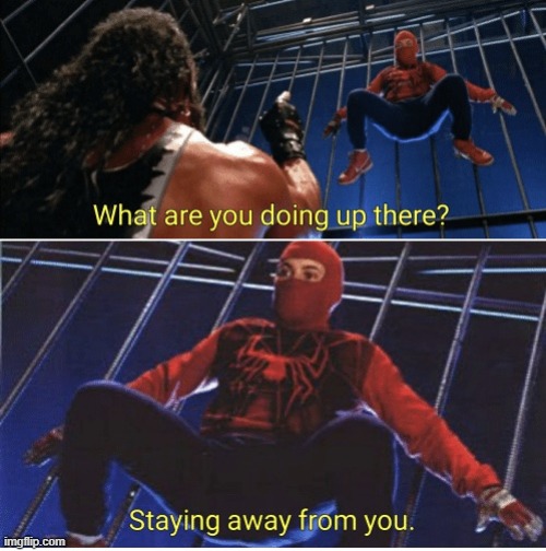 Spider-Man - Staying Away | image tagged in spider-man - staying away | made w/ Imgflip meme maker