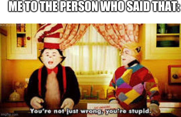 Your not just wrong your stupid | ME TO THE PERSON WHO SAID THAT: | image tagged in your not just wrong your stupid | made w/ Imgflip meme maker