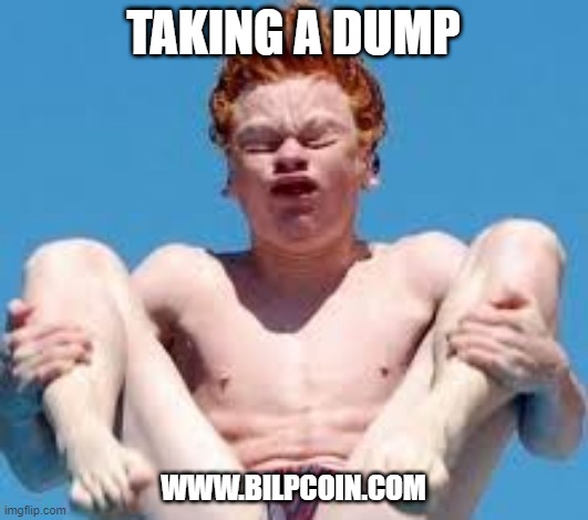TAKING A DUMP; WWW.BILPCOIN.COM | made w/ Imgflip meme maker