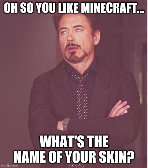 :| | OH SO YOU LIKE MINECRAFT... WHAT'S THE NAME OF YOUR SKIN? | image tagged in memes,face you make robert downey jr | made w/ Imgflip meme maker