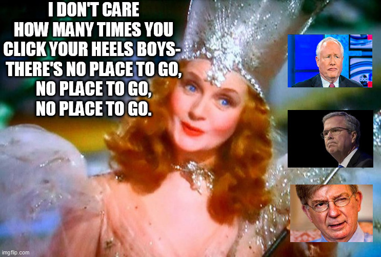 Lost Never Trumpers | I DON'T CARE HOW MANY TIMES YOU CLICK YOUR HEELS BOYS- 
THERE'S NO PLACE TO GO,
NO PLACE TO GO,
NO PLACE TO GO. | image tagged in bill kristol,jeb bush,george will,never-trumpers,irrelevant never-trumpers,lost never-trumpers | made w/ Imgflip meme maker