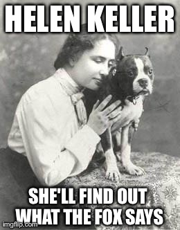 We've got our best people on it, Sir. | image tagged in helen keller,what does the fox say | made w/ Imgflip meme maker