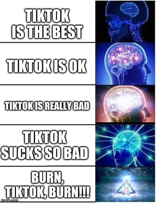 For the second brain, I wish it were a bit smaller, to match the description | TIKTOK IS THE BEST; TIKTOK IS OK; TIKTOK IS REALLY BAD; TIKTOK SUCKS SO BAD; BURN, TIKTOK, BURN!!! | image tagged in expanding brain 5 panel,memes,funny,tiktok | made w/ Imgflip meme maker