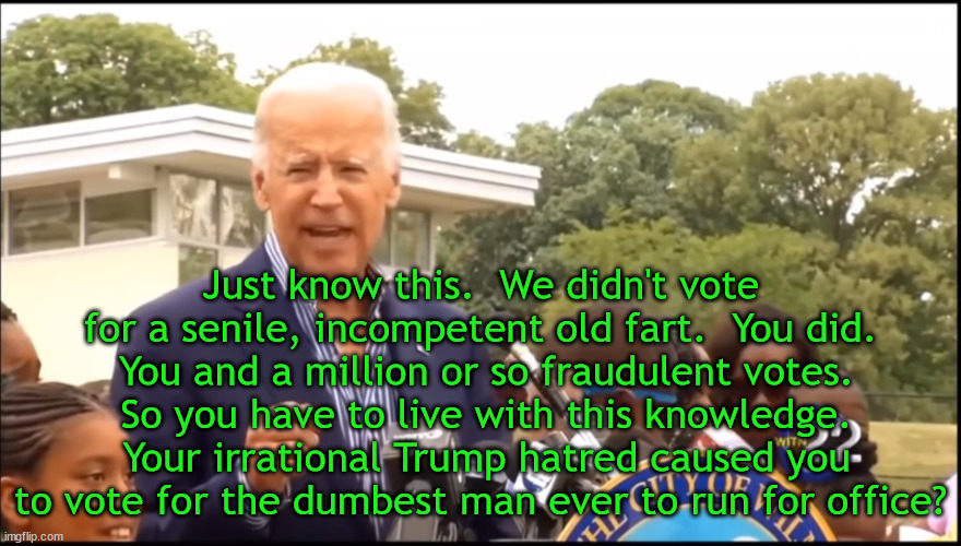 Are you happy with yourself? | Just know this.  We didn't vote for a senile, incompetent old fart.  You did.  You and a million or so fraudulent votes.  So you have to live with this knowledge.  Your irrational Trump hatred caused you to vote for the dumbest man ever to run for office? | image tagged in senile joe biden,incompetant joe biden,irration trump hatred | made w/ Imgflip meme maker