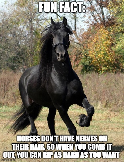 Itsh true | FUN FACT:; HORSES DON'T HAVE NERVES ON THEIR HAIR, SO WHEN YOU COMB IT OUT, YOU CAN RIP AS HARD AS YOU WANT | image tagged in dark horse | made w/ Imgflip meme maker
