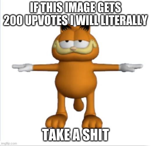 :D | IF THIS IMAGE GETS 200 UPVOTES I WILL LITERALLY; TAKE A SHIT | image tagged in garfield t-pose,never gonna give you up,never gonna let you down | made w/ Imgflip meme maker