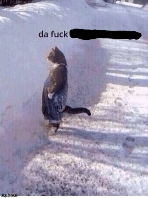 Da fuq they doing over there | image tagged in da fuq they doing over there | made w/ Imgflip meme maker