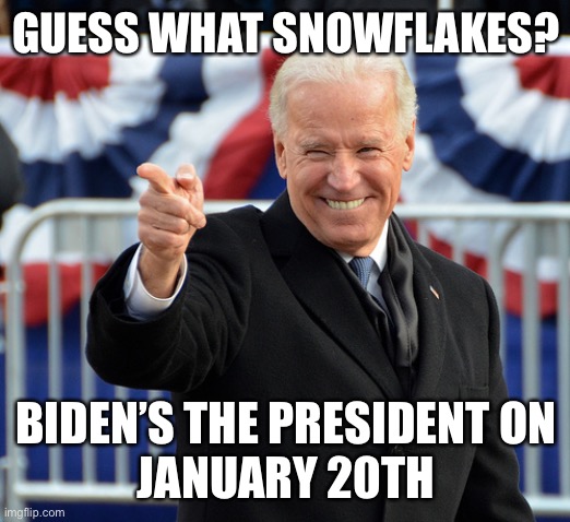 Let it snow | GUESS WHAT SNOWFLAKES? BIDEN’S THE PRESIDENT ON
JANUARY 20TH | image tagged in donald trump,joe biden,maga,snowflakes,voter fraud,fake news | made w/ Imgflip meme maker