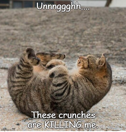 Crunches | Unnnggghh.... These crunches are KILLING me. | image tagged in funny | made w/ Imgflip meme maker