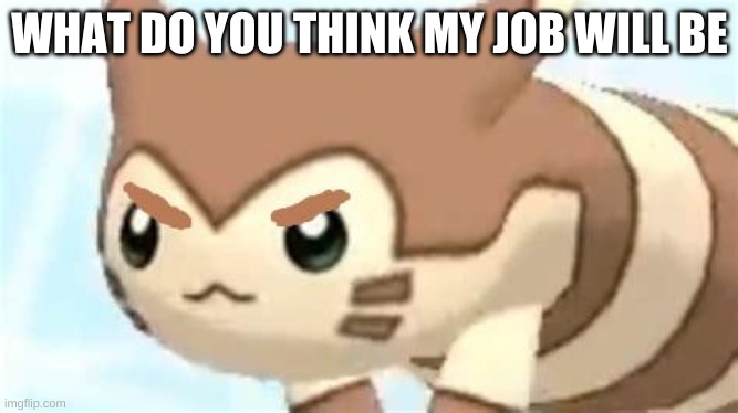 angry furret | WHAT DO YOU THINK MY JOB WILL BE | image tagged in angry furret | made w/ Imgflip meme maker