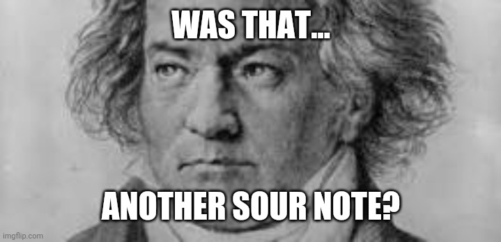 Another sour note | WAS THAT... ANOTHER SOUR NOTE? | image tagged in angry,beethoven,music,teacher,classical music | made w/ Imgflip meme maker