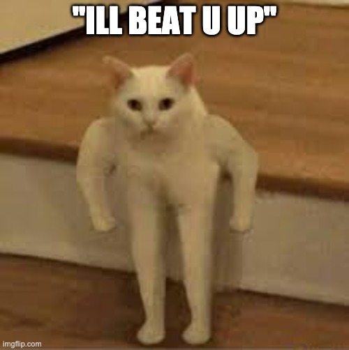 idk buff cat | "ILL BEAT U UP" | image tagged in cats,memes | made w/ Imgflip meme maker