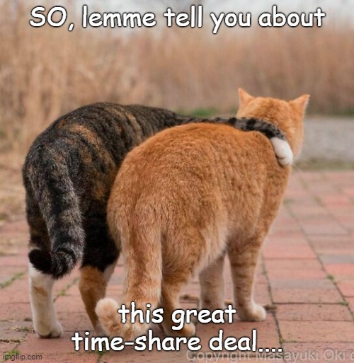 Time share | SO, lemme tell you about; this great time-share deal.... | image tagged in humor | made w/ Imgflip meme maker