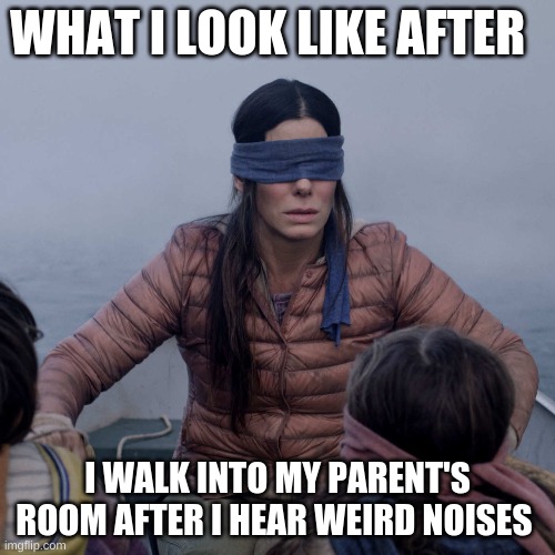 Bird Box | WHAT I LOOK LIKE AFTER; I WALK INTO MY PARENT'S ROOM AFTER I HEAR WEIRD NOISES | image tagged in memes,bird box | made w/ Imgflip meme maker