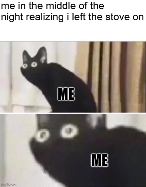 Oh No Black Cat | me in the middle of the night realizing i left the stove on ME ME | image tagged in oh no black cat | made w/ Imgflip meme maker