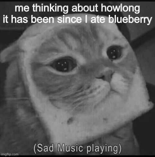 sad music playing | me thinking about howlong it has been since I ate blueberry | image tagged in sad music playing | made w/ Imgflip meme maker