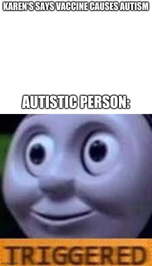 Rightfully triggered | KAREN'S SAYS VACCINE CAUSES AUTISM; AUTISTIC PERSON: | image tagged in blank white template | made w/ Imgflip meme maker