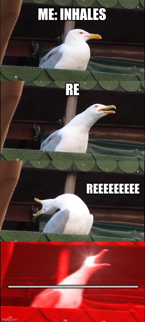 trying to out ree reekid | ME: INHALES; RE; REEEEEEEEE; REEEEEEEEEEEEEEEEEEEEEEEEEEEEEEEEEEEEEEEEEEEEEEEEEEEEEEEEEEEEEEEEEEEEEEEEEEEEEEEEEEEEEEEEEEEEEEEEEEEEEEEEEEEEEEEEEEEEEEEEEEEEEEEEEEEEE | image tagged in memes,inhaling seagull | made w/ Imgflip meme maker