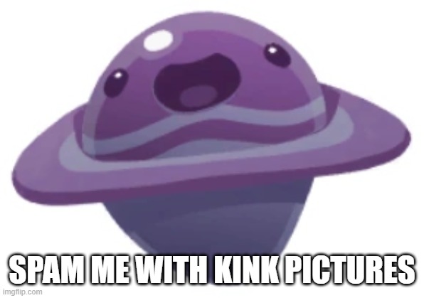 FYI, my kink is girls with fat bellies that are exposed. Furries are accepted as well. | SPAM ME WITH KINK PICTURES | image tagged in dervish slime | made w/ Imgflip meme maker