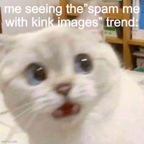 me seeing the”spam me with kink images” trend: | made w/ Imgflip meme maker